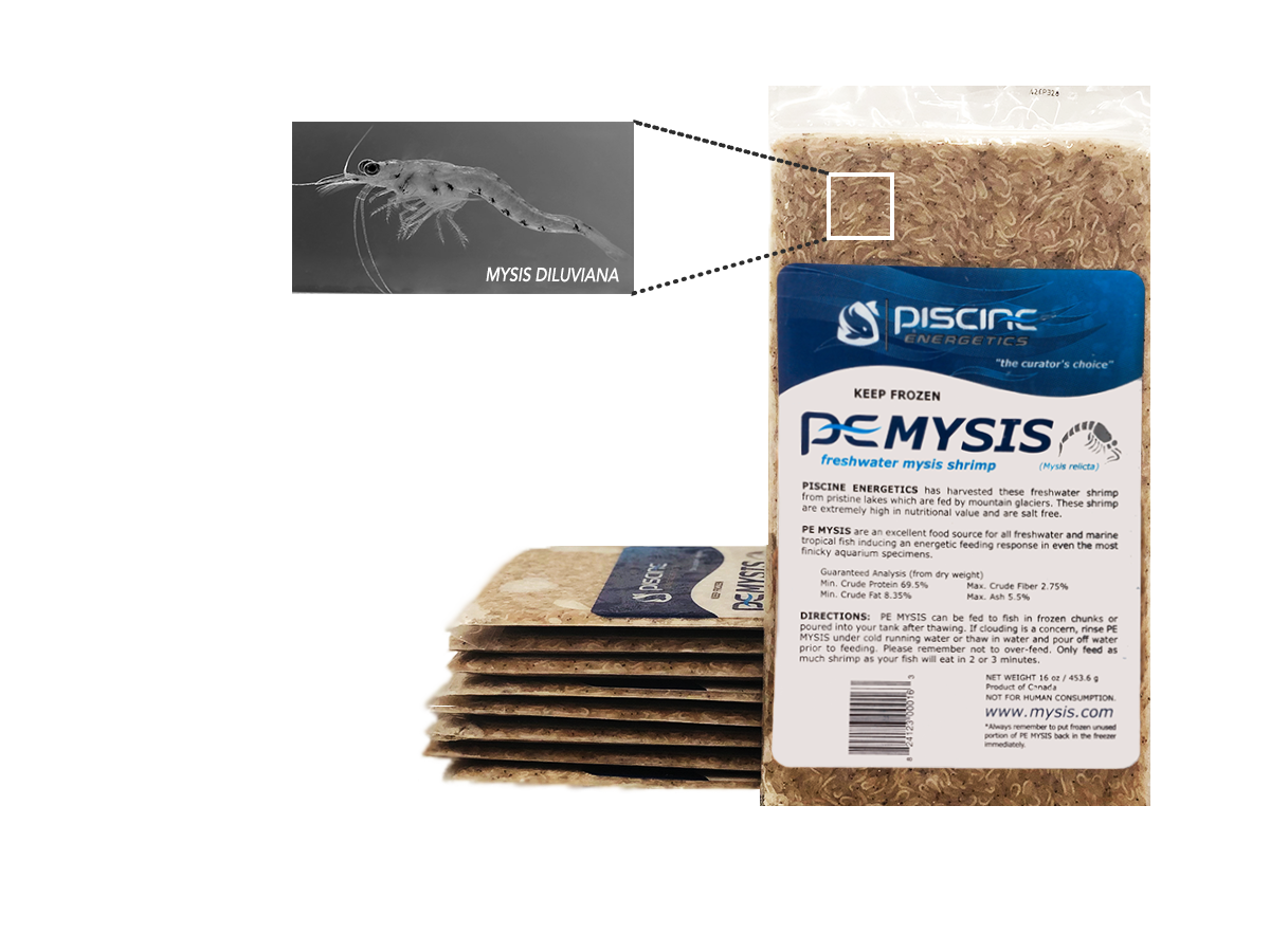 PE Mysis Flat - Full Case