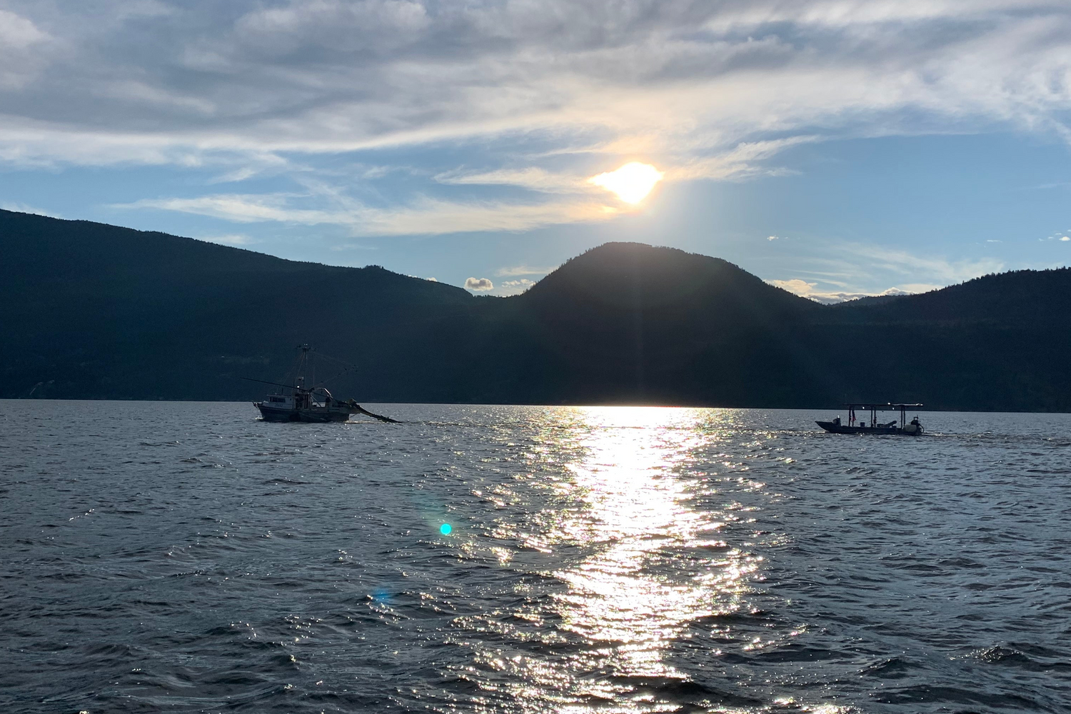 Explore our sustainable fishing operations on Okanagan Lake with Piscine Energetics' fleet. Our boats are dedicated to responsibly harvesting Mysis shrimp, aiding in aquatic conservation and supporting local ecosystems.